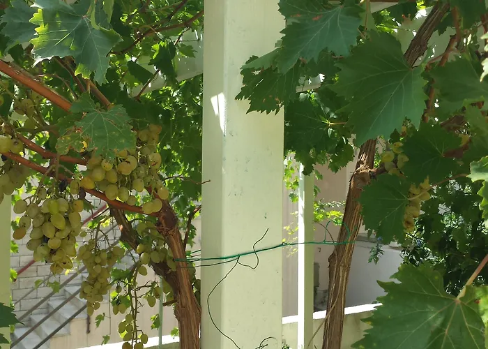 Διαμέρισμα Matic *